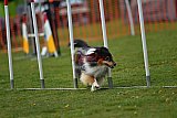 wedstrijd apeldoorn 18-04-2026