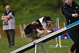 wedstrijd apeldoorn 18-04-2026