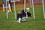 wedstrijd apeldoorn 18-04-2026