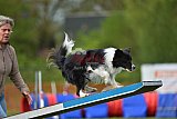 wedstrijd apeldoorn 18-04-2026