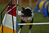 wedstrijd apeldoorn 18-04-2026