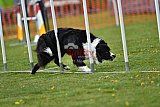 wedstrijd apeldoorn 18-04-2026