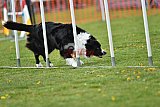 wedstrijd apeldoorn 18-04-2026