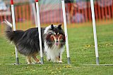 wedstrijd apeldoorn 18-04-2026