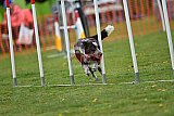 wedstrijd apeldoorn 18-04-2026