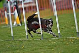 wedstrijd apeldoorn 18-04-2026