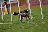 wedstrijd apeldoorn 18-04-2026