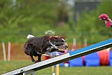 wedstrijd apeldoorn 18-04-2026