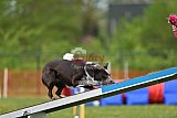 wedstrijd apeldoorn 18-04-2026