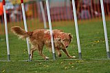 wedstrijd apeldoorn 18-04-2026
