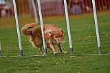 wedstrijd apeldoorn 18-04-2026