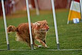 wedstrijd apeldoorn 18-04-2026