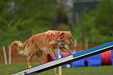 wedstrijd apeldoorn 18-04-2026