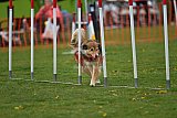 wedstrijd apeldoorn 18-04-2026