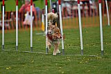 wedstrijd apeldoorn 18-04-2026