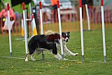 wedstrijd apeldoorn 18-04-2026