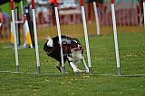 wedstrijd apeldoorn 18-04-2026