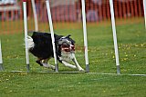 wedstrijd apeldoorn 18-04-2026