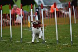 wedstrijd apeldoorn 18-04-2026
