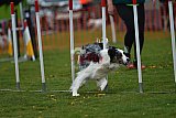 wedstrijd apeldoorn 18-04-2026