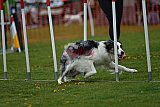 wedstrijd apeldoorn 18-04-2026