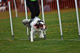 wedstrijd apeldoorn 18-04-2026
