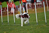 wedstrijd apeldoorn 18-04-2026