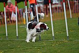 wedstrijd apeldoorn 18-04-2026