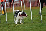 wedstrijd apeldoorn 18-04-2026