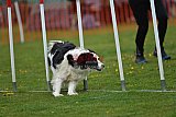 wedstrijd apeldoorn 18-04-2026