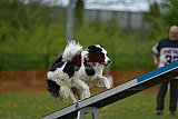 wedstrijd apeldoorn 18-04-2026