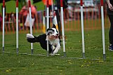 wedstrijd apeldoorn 18-04-2026