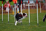 wedstrijd apeldoorn 18-04-2026