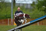 wedstrijd apeldoorn 18-04-2026