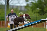 wedstrijd apeldoorn 18-04-2026