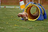 wedstrijd apeldoorn 18-04-2026