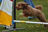 wedstrijd apeldoorn 18-04-2026