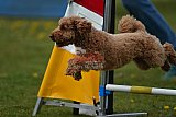 wedstrijd apeldoorn 18-04-2026