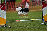 wedstrijd apeldoorn 18-04-2026