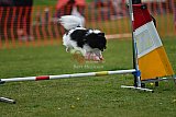 wedstrijd apeldoorn 18-04-2026