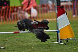 wedstrijd apeldoorn 18-04-2026