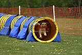 wedstrijd apeldoorn 18-04-2026