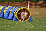 wedstrijd apeldoorn 18-04-2026