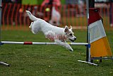 wedstrijd apeldoorn 18-04-2026