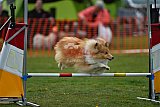 wedstrijd apeldoorn 18-04-2026