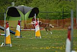 wedstrijd apeldoorn 18-04-2026