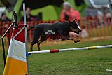 wedstrijd apeldoorn 18-04-2026