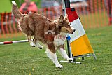 wedstrijd apeldoorn 18-04-2026