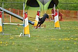 wedstrijd apeldoorn 18-04-2026