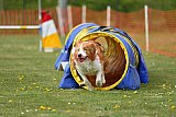 wedstrijd apeldoorn 18-04-2026